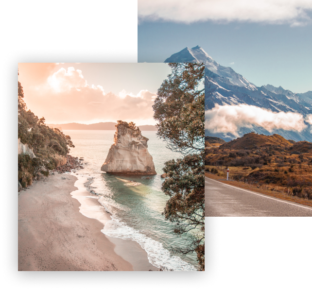 Study in New Zealand